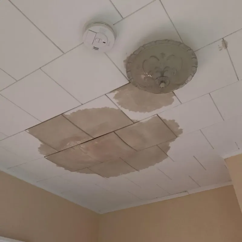 Ceiling Water Damage Repair in North Granby, CT