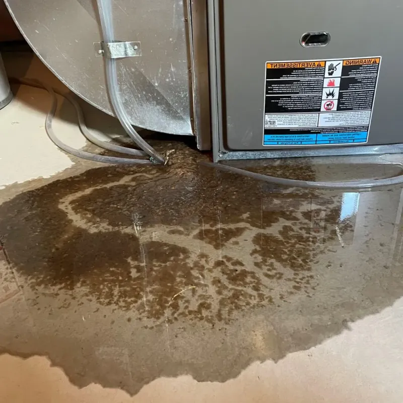 Pipe Burst and Leak Restoration in North Granby, CT
