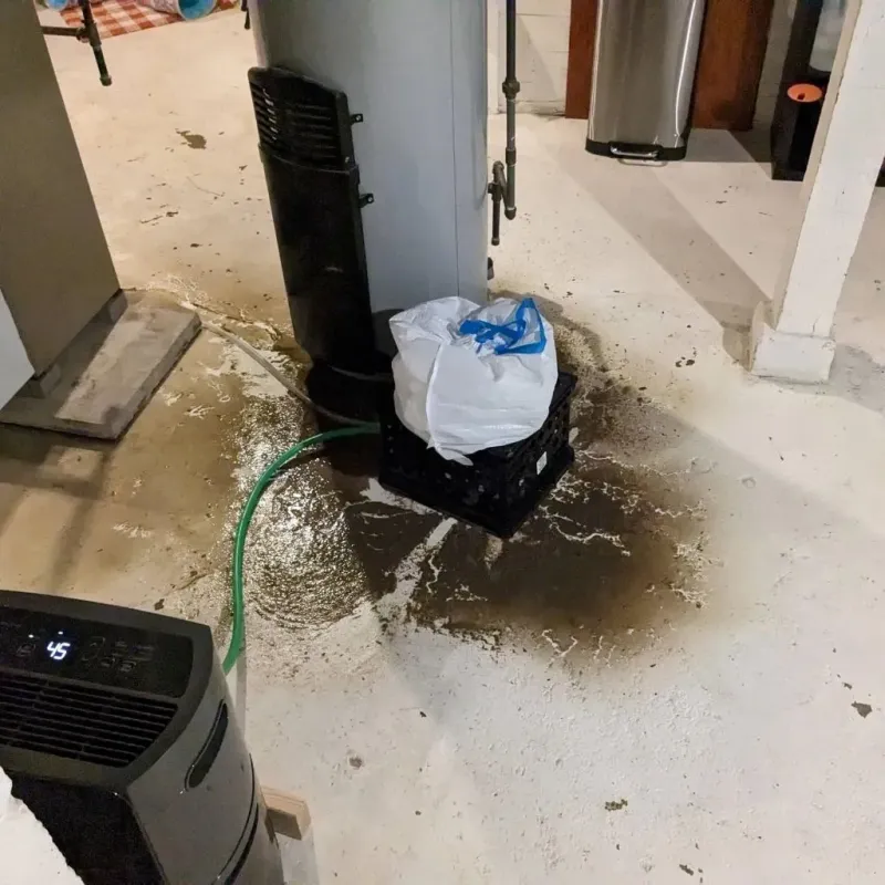Sewage Backup Cleanup Service in North Granby, CT